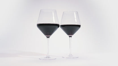 Raye Crystal Angled Burgundy Glasses Viski®